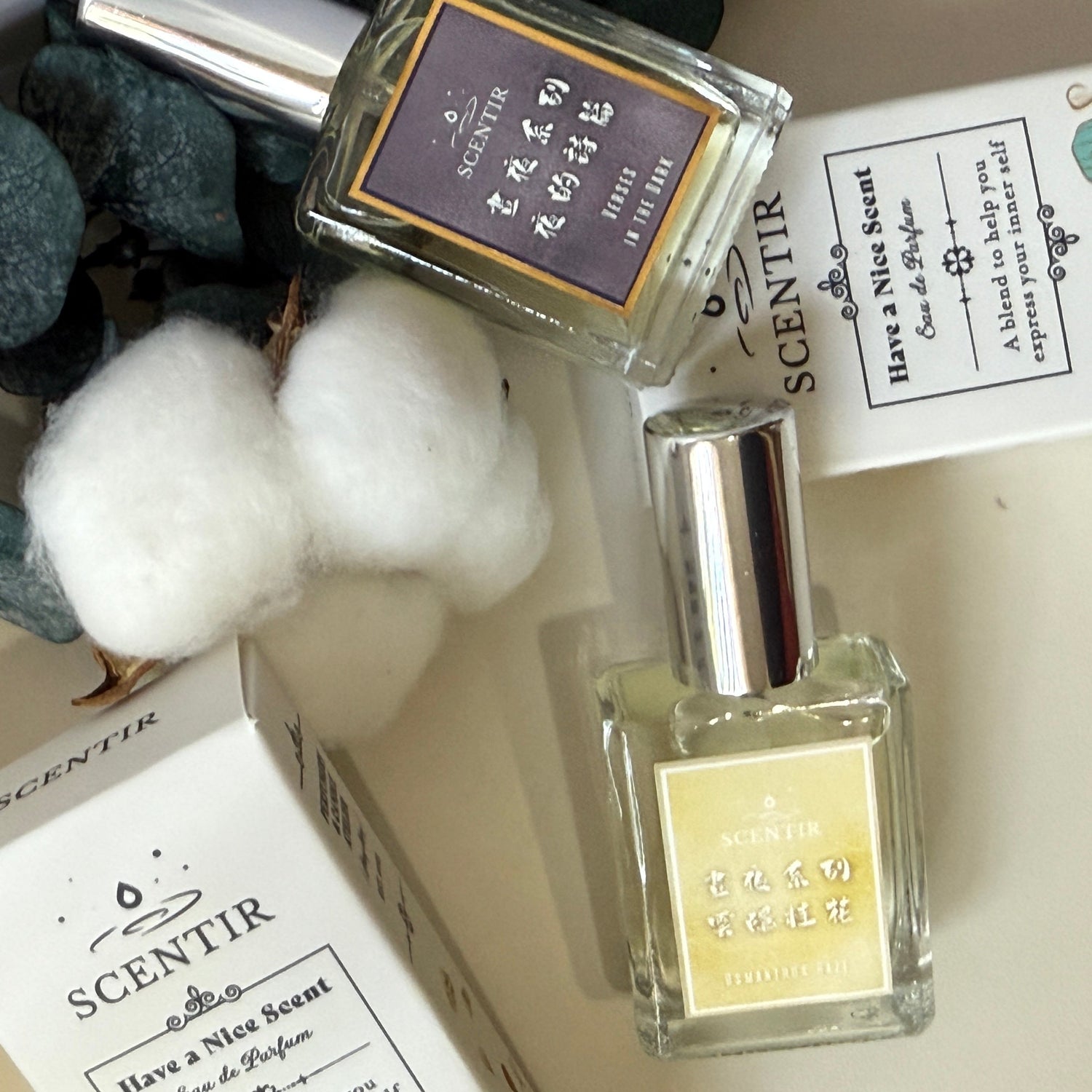 晝夜系列 Day & Night Perfume
