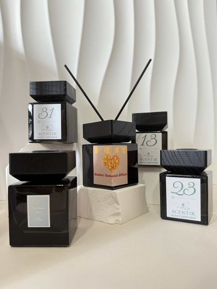 室內香氛擴香瓶 Reed Diffuser