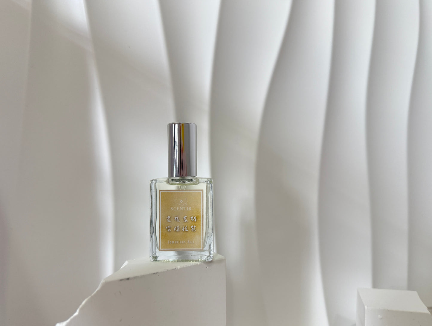 雲隱桂花  Osmanthus Haze
